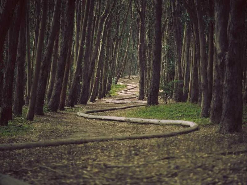 성남시고압세척