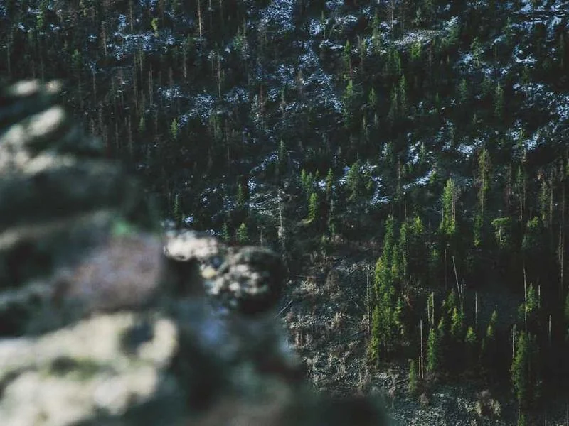 성남시변기막힘