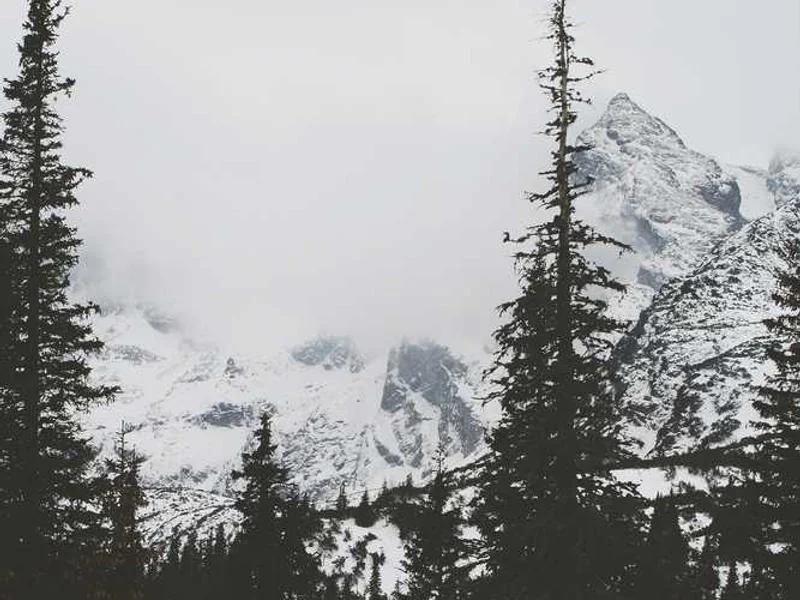 성남시변기막힘