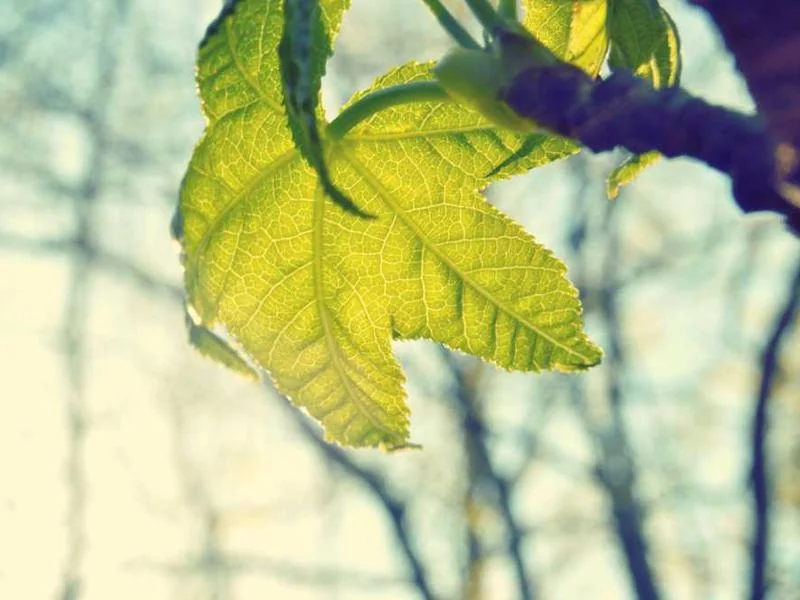 성남시싱크대뚫음