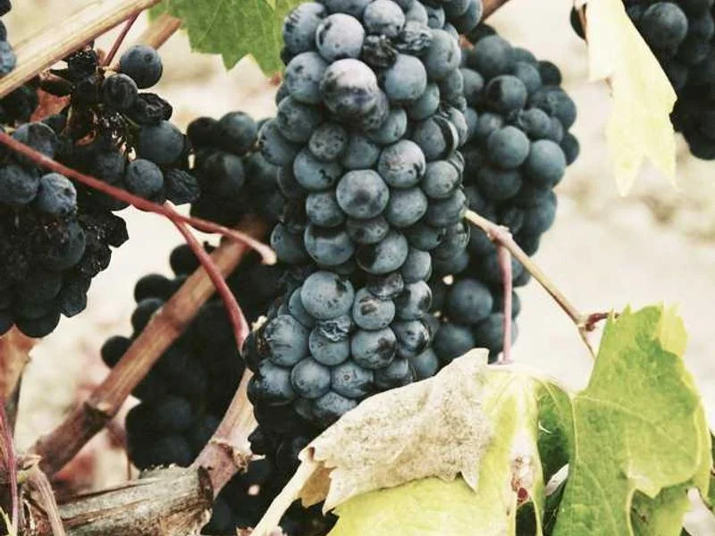 성남금토동하수구막힘,싱크대막힘,변기막힘