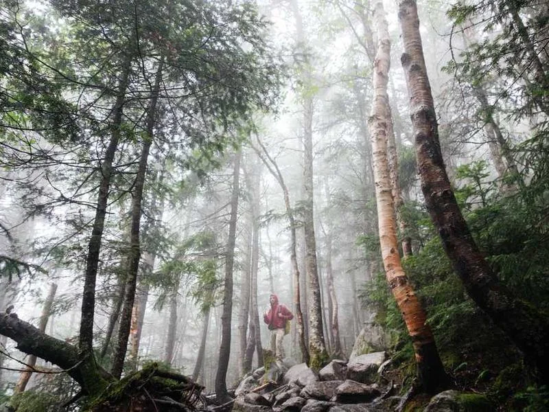 성남복정동하수구막힘,싱크대막힘,변기막힘