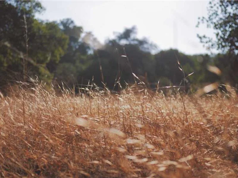 성남분당동하수구막힘,싱크대막힘,변기막힘