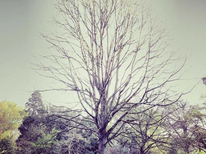 성남상대원동하수구막힘,싱크대막힘,변기막힘