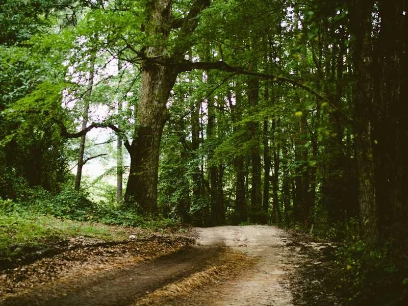 성남성남동하수구막힘,싱크대막힘,변기막힘