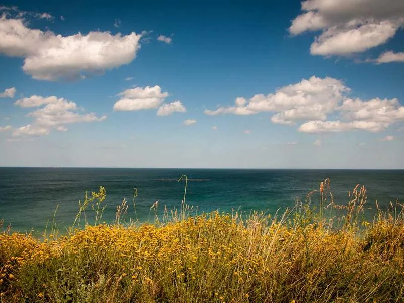 성남성남동하수구막힘,싱크대막힘,변기막힘