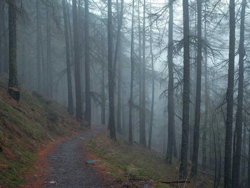 성남수내동하수구막힘,싱크대막힘,변기막힘
