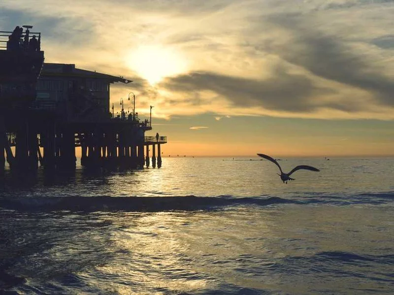 성남정자동하수구막힘,싱크대막힘,변기막힘
